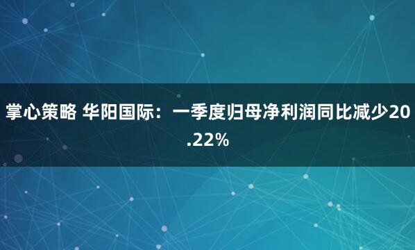 掌心策略 华阳国际：一季度归母净利润同比减少20.22%