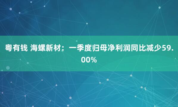 粤有钱 海螺新材：一季度归母净利润同比减少59.00%