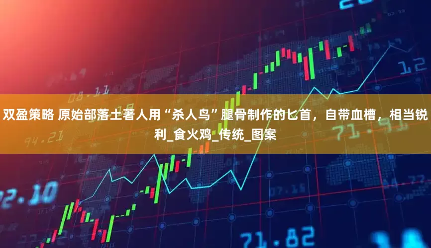 双盈策略 原始部落土著人用“杀人鸟”腿骨制作的匕首，自带血槽，相当锐利_食火鸡_传统_图案
