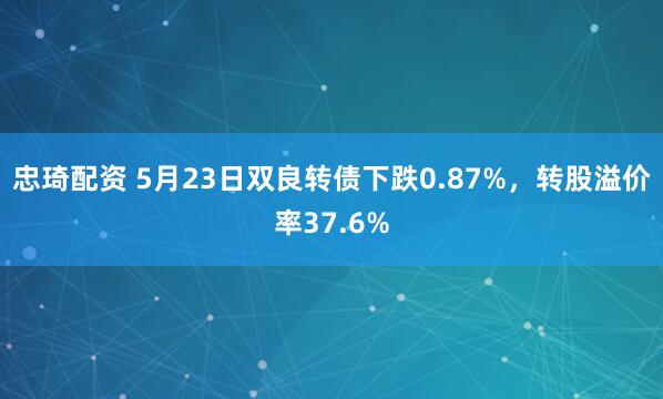 忠琦配资 5月23日双良转债下跌0.87%，转股溢价率37.6%