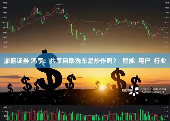鼎盛证券 鸿享：共享自助洗车是炒作吗？_智能_用户_行业