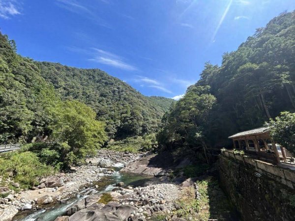 锦达网 住山舍、寻茶趣、探自然！武夷山的康养时光，尽是自在与松弛