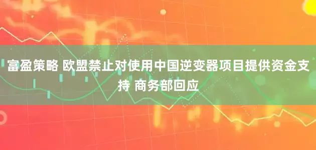 富盈策略 欧盟禁止对使用中国逆变器项目提供资金支持 商务部回应